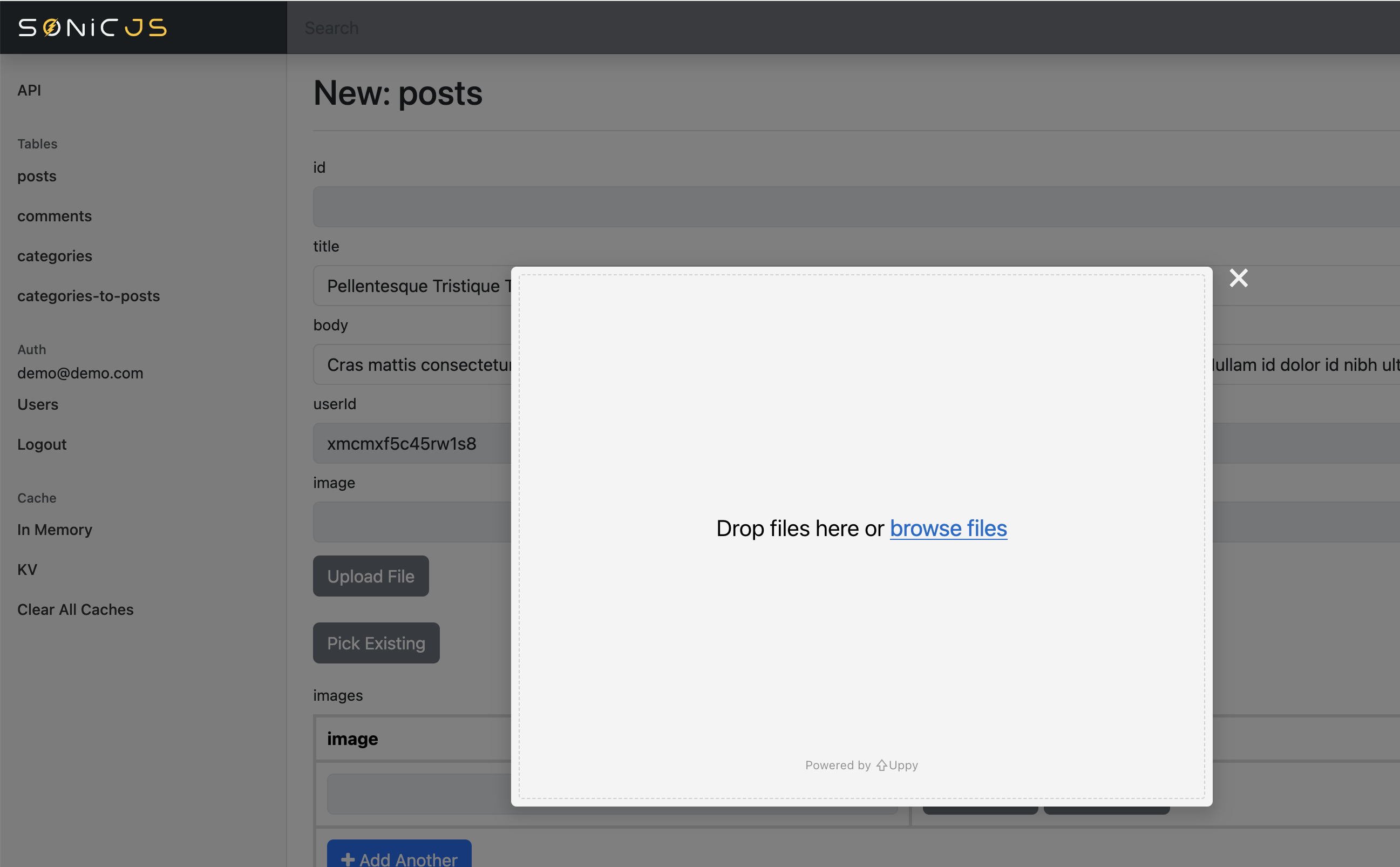 Headless CMS Upload Image